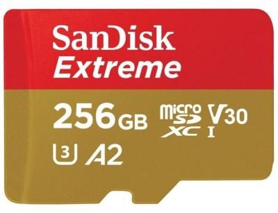 Карта памяти 256 ГБ microSDXC SanDisk Extreme Class 10 (SDSQXA1-256G-GN6MA) 1 шт.