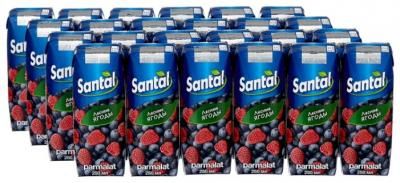 Напиток сокосодержащий Santal Лесные ягоды, 0.25 л, 24 шт.